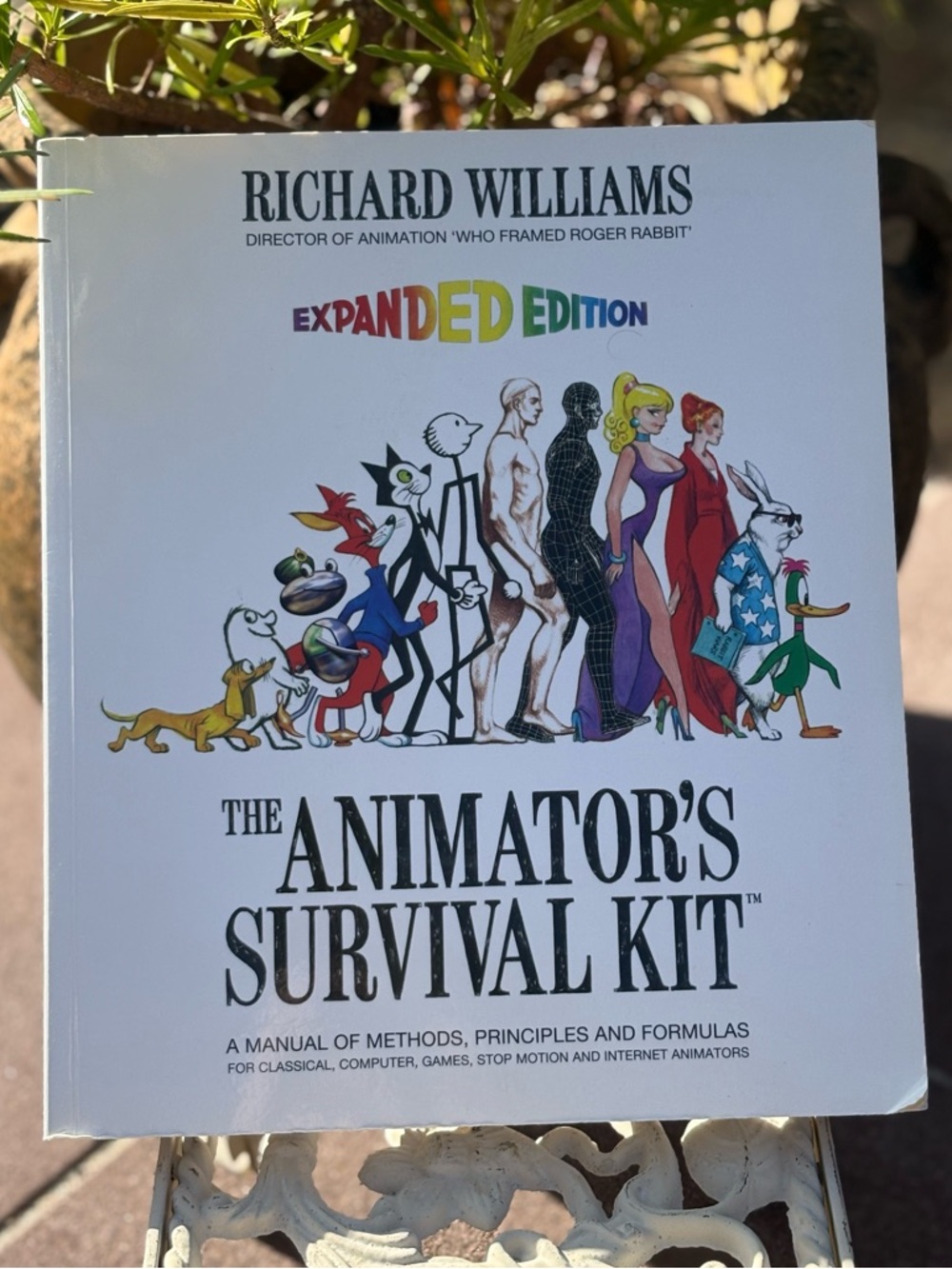 The Animator's Survival Kit (PaperCover)